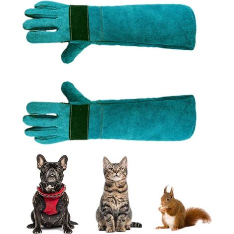 Gants en cuir renforcé anti-griffures - conviennent aux chiens, chats, reptiles, etc. - 1 paire, verts, 60 cm (1/5)