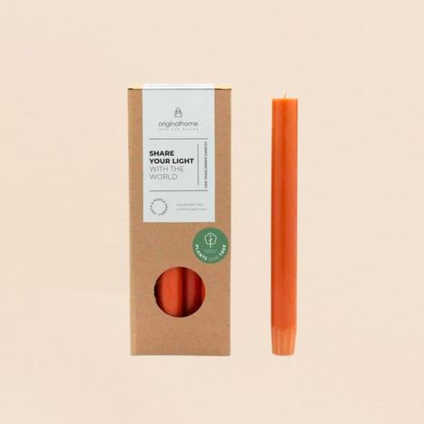 Set de 10 bougies cierges orange 20 cm (1/5)