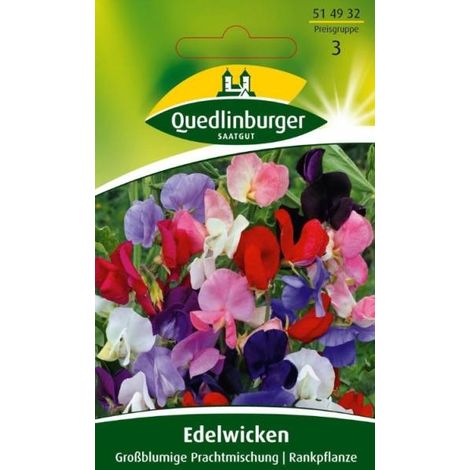 Quedlinburger Edelwicken Großblumige Prachtmischung - Blumensamen (1/2)