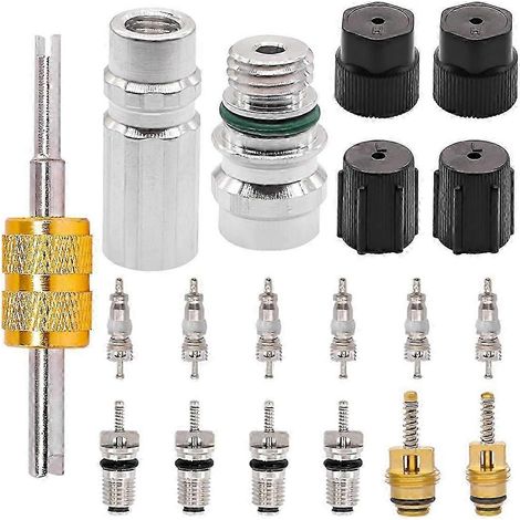 Noyau de Valve de Climatisation pour voiture, 19 pièces, Ac R12 R134A, noyau de tige de Valve de Réfrigération, Kit de bouchons d'étanchéité pour Port de Charge de Service (1/5)