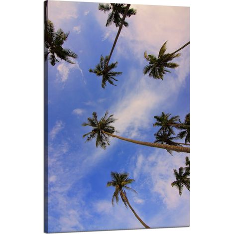 Lienzo impreso Naturaleza Palmeras de coco 50x80 cm