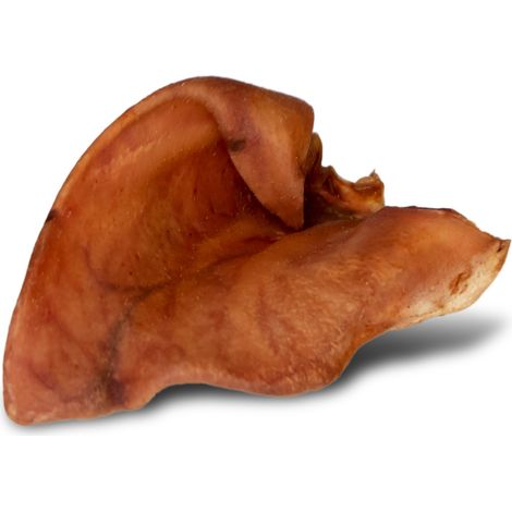 Orecchio di maiale da masticare PER CANI naturale grande L pulizia dei denti 1 PEZZO (1/5)