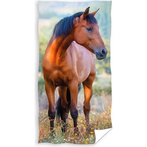 Asciugamano asilo per bambini 30x50 Marrone cavallo