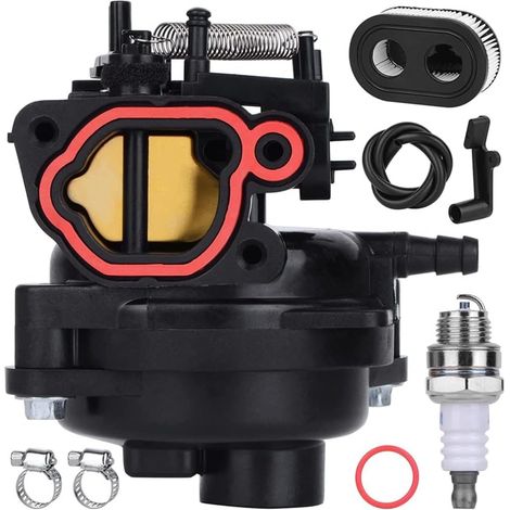 Carburador Briggs & Stratton Briggs & Stratton 799584 592361 591109 (1/5)