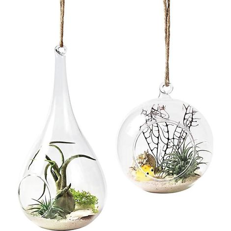 Suspension murale en verre pour plantes, lot de 2, décoration intérieure, vase aérien transparent, idéal pour herbes et fleurs, style moderne. (1/4)