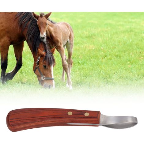 Couteau de parage de sabots de haute qualité pour le bétail, couteau à sabots, outil de parage, couteau à sabots, harnais pour chevaux (1/5)