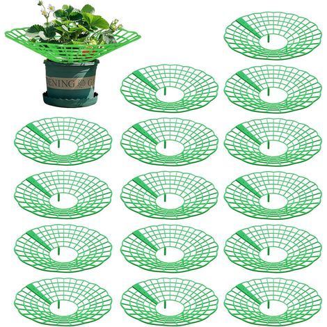 15 Pièces Support Fraisier, Plastique Amovible Supports pour Fraises Diamètre 30.6 cm Support de Culture de Fraises pour Fraise, Légume, Fleur, Plante (Vert) (1/5)