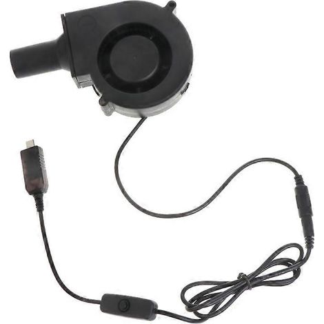 Ventilateur de barbecue USB Type C 5V 9733, ventilateur de cuisson 12V pour la cuisine, le camping et les activités de plein air - Type C (1/5)