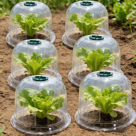 12 housses de protection des plantes épaissies, housses de protection rondes réutilisables contre les oiseaux et les escargots, tissu de serre respirant pour un flux d'air optimal