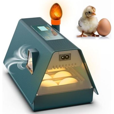 Incubateur entièrement automatique - Idéal pour tous les âges - Incubateur pour poulets avec retournement des œufs et contrôle de l'humidité - Lampe à œufs intégrée - 10 œufs - Okkobi M10 - Vert et or (1/5)