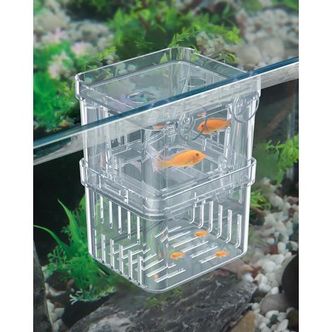 Breeding Box, Transparent Plastic, 2 Compartments, Suction Cups, For Aquariums 37-150L (1/5)