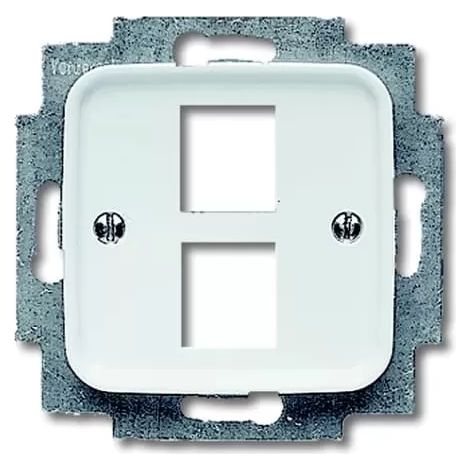 Busch-Jaeger 2561-02-214 Zentralscheibe Modular Jack (1/2)
