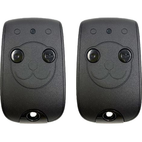 Compatible avec Somfy 1841026 - télécommande RTS à deux canaux Keytis  Permet de contrôler deux moteurs de portail RTS et de garage, 2 unités incluses (1/4)