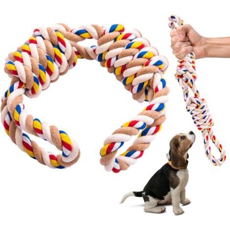 Laisse pour chien de 40 cm de long, jouet durable et résistant aux mâchouillages, aide à nettoyer les dents, convient aux chiens de petite et moyenne taille. (1/4)