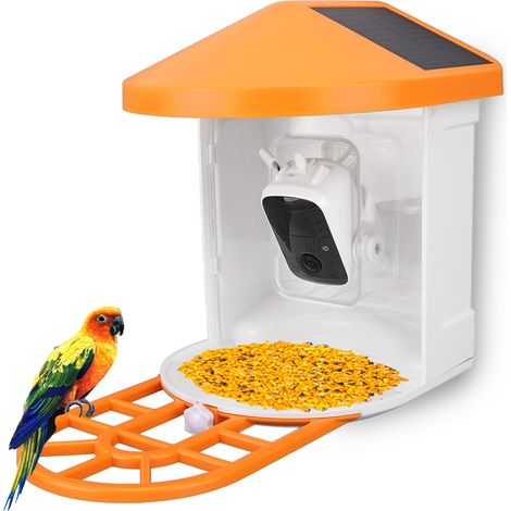 1080P Solarbetriebener visueller Vogelfutterspender mit intelligenter KI-Vogelerkennung, kabelloser solarbetriebener Haustierfutterspender, wasserdichter Vogelfutterspender für den Außenbereich, Orang (1/5)