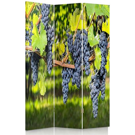 Paravent Raisins Noirs Décoration Vigne 3 Panneaux - 110 x 180 cm - 1 face déco, 1 face noir