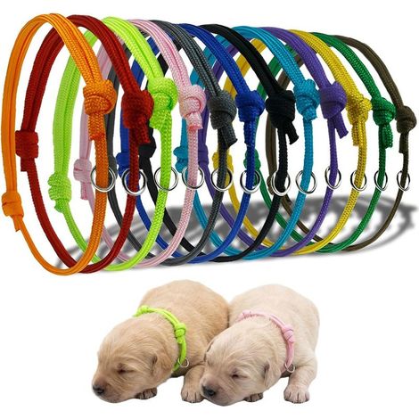 12 Colliers pour Chiot Naissance, Collier Identification Chiot Réglable en 12 Couleurs, Collier pour Chaton et Nouveau-nés, Lot de Reconnaissance pour Portée, Taille S (Max 6.5cm) (1/5)