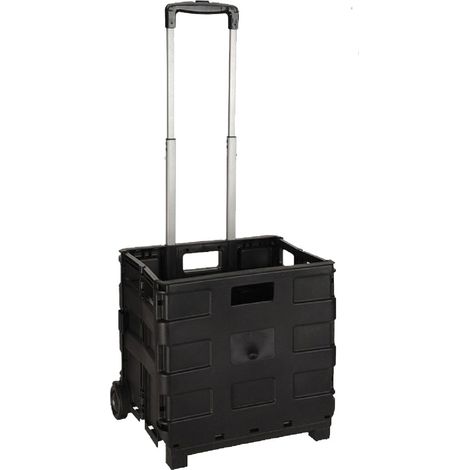 CARRELLO CESTA MULTIUSO PIEGHEVOLE portata 18 kg