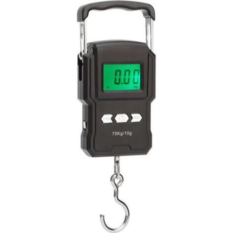 Échelle de pêche électronique 75 kg Échelle de bagages d'écran LCD rechargeable avec outil de mesure de ruban à mesurer