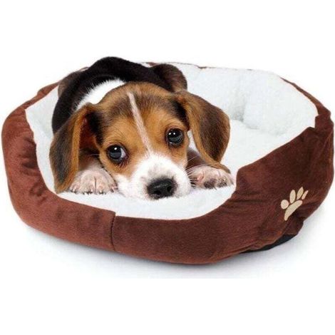 Tapis de Nid Doux en Laine Imprimé Pattes Confortable pour Chien Chat Chiot Chat (1/4)