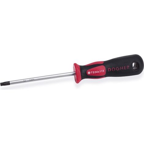 S2 Profi-Schraubendreher, Torx Security TS27x115 mm  DOGHER 341-TS27