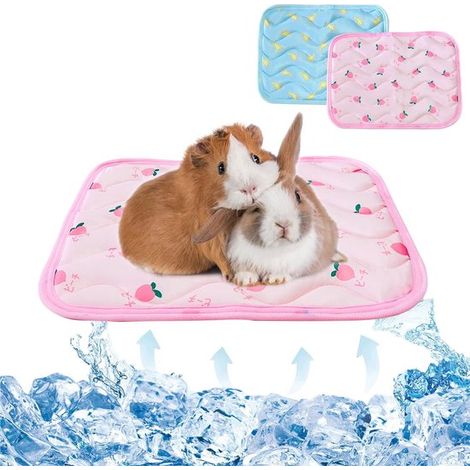 Lot de 2 tapis rafraîchissants pour chien et chat en tissu effet soie glacée, taille XS 30 x 40 cm, lavables et respirants, pour cage, canapé et voiture, bleu et rose (1/5)
