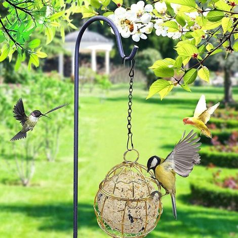 Cage à Oiseaux Birds.Name - Modèle Grande pour Perruches et Canaris avec Base en Plastique Solide et Porte Grillagée