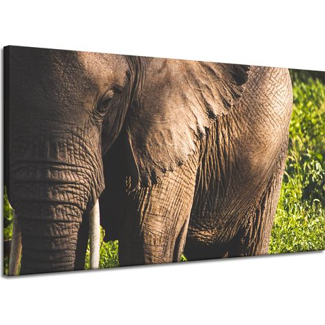 Impression sur toile Animaux Éléphant Gros plan 120x70 (1/4)
