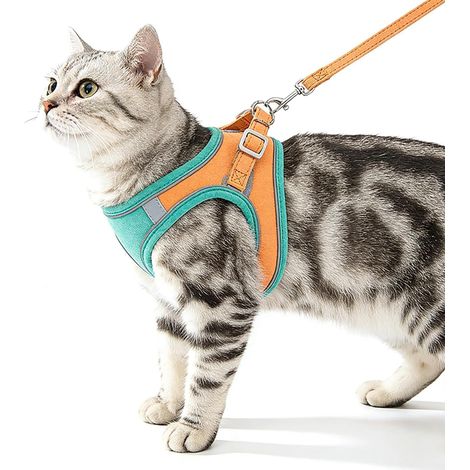 Ensemble Harnais et Laisse pour Chat – Harnais Anti-Fugue Confortable, Respirant et réglable pour Petit Chat et Chiot (VertL) (1/5)