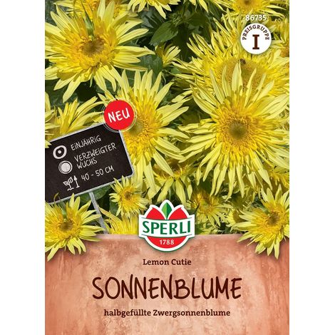Sperli Sonnenblumen Lemon Cutie - Blumensamen (1/2)