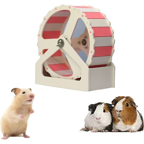 1 roue d'exercice pour hamster, silencieuse avec roulement à billes, antidérapante et stable, adaptée aux hamsters, gerbilles, hérissons et souris (1/5)