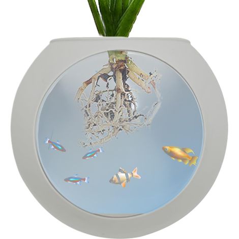 Vase mural, vases muraux décoratifs, pot de fleurs en silicone, globe, terrarium aéré pour plantes (1/5)