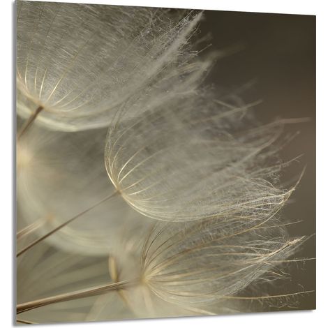 Panneau de verre pour la cuisine 60x65 Fleurs (1/5)