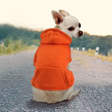 Vêtements pour Animaux de Compagnie Pull pour Chien Robes pour Chien Pull pour Chiot Manteau Chaud pour Chats et Petits Chiens Chihuahua Chiot Teddy Caniche (S, Orange) (1/5)