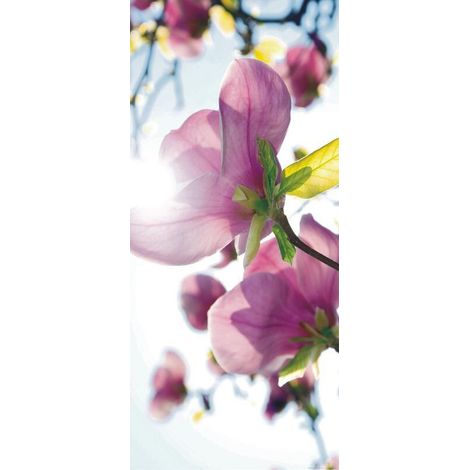 Flowers in the sun, intissé photo mural, 90 x 202 cm, 1 part (1/3)