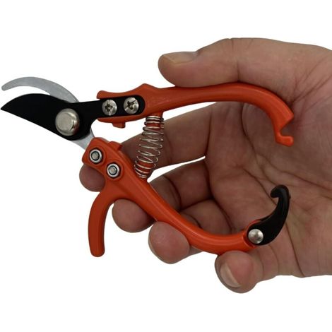 Améliorez vos outils de jardinage avec des sécateurs modernes : sécateurs à herbes de précision, sécateurs à fleurs et verrous de sécurité à verrouillage facile pour une taille sans effort. (1/3)