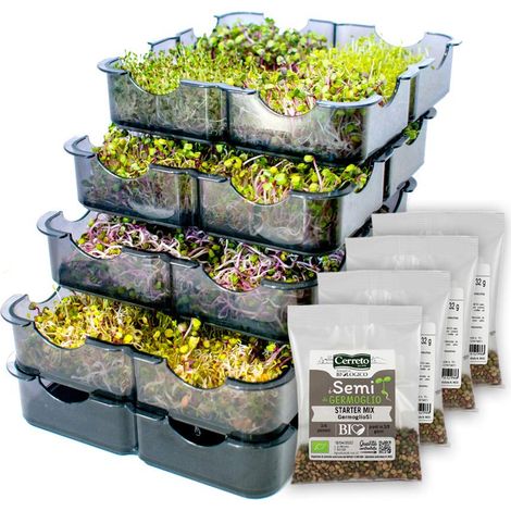 Germoir Manuel Multifonction + 4 packs de semences mixtes, 4 Plateaux en Plastique (1/5)