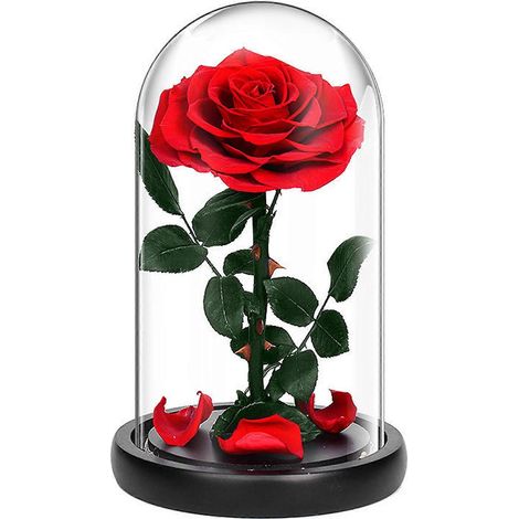 Dômes lumineux roses enchantés, cadeau d'anniversaire pour épouse, décoration de bureau transparente, présentoir pour demande en mariage ou fiançailles (1/4)
