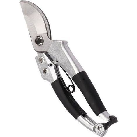 Cisailles Élagage - Acier Haute Résistance - Pour Branches Fleurs Greffage Taille Arbres - 20 cm - 1 Pièce (1/4)