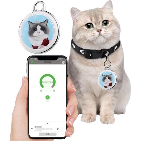 Traceur GPS pour animaux de compagnie, chiens et chats, collier sans frais mensuels, suivi de localisation en temps réel. (1/5)