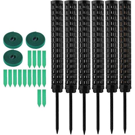 Tuteur pour Monstera, bâtonnet en mousse, 6 tuteurs pour plantes -- (1/5)