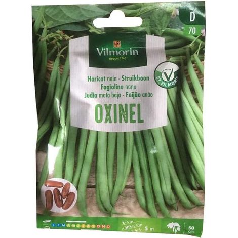JÐ©dische Samen Baja Oxinel Vilmorin - Ð©ber 30 g.