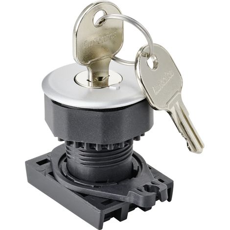 TRU COMPONENTS TC-10343992 S3KF-2DS Schlüsselschalter-Frontelement Schlüssel Silber 1 x 90 ° 1 St. (1/4)