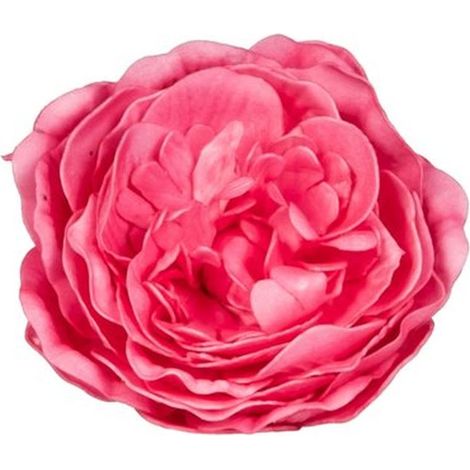 Décoration de table Rose ancienne fuchsia 12 cm - Rose (1/4)
