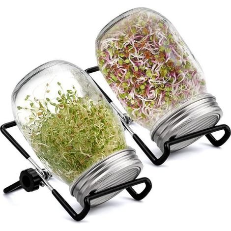 Germoir en Verre Bocal à Germes 450 ML avec Couvercle à Grille en Inoxydable de Supports et Plateau D\égouttement, 2pcs nosku (1/5)
