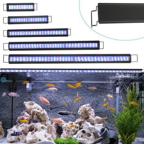 Randaco Lampe LED aquarium couleur avec support et minuterie, éclairage décoratif, 10W (1/5)