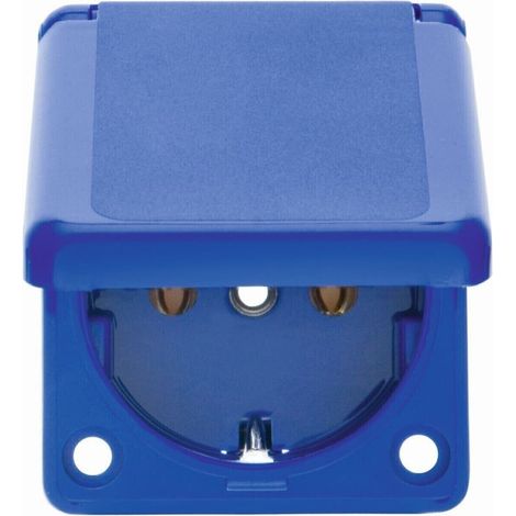 Berker EB.SSD IP44 50X60MM M.KLAPPD. (7429635)