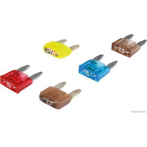 Kit fusibile herthbuss 50296670066 compatto 5,5x12,8 cm