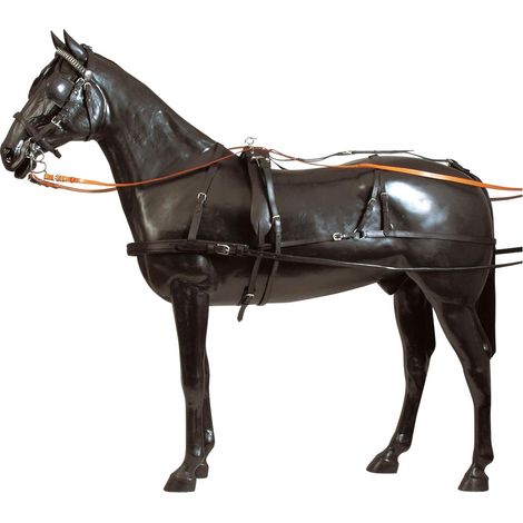 Full, Nero: Finimento da carrozza singolo completo con fibbiera e finiture in ottone nichelato