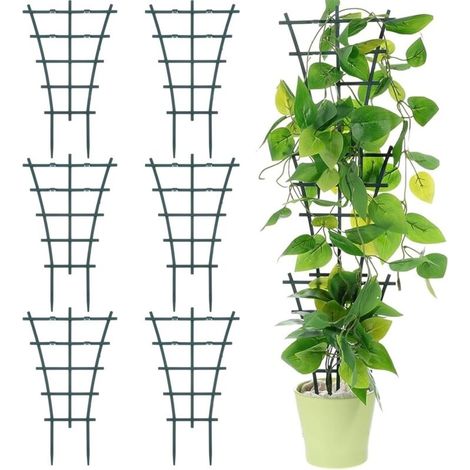 Set of 6 indoor plant supports - Durable and corrosion-resistant - Reusable - For mini climbing plants (1/5)